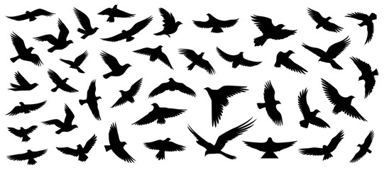 Set of silhouettes of flying birds in a flat style on a white background. Vector illustration
