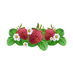 Isolated composition with red strawberry leaf and strawberry flower. For packaging, textiles, stationery and more
