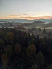 Autumn Morning Aerial View of Foggy Forest