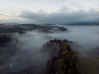 Autumn Morning Aerial View of Foggy Forest