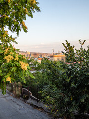 view of city houses through foliage of trees on summer twilight from Sarmen street in Yerevan city, Armenia