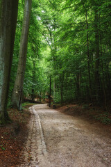 Fototapeta premium house, architecture, home, old, building, window, brick, street, houses, france, wall, door, city, traditional, facade, town, stone, roof, europe, england, red, windows, urban, green, exterior