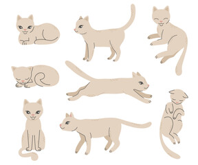 Set of cats in different poses.Lying, walking, sitting, sleeping, jumping cat. Pet, friend.Simple vector illustration in flat cartoon style isolated on white background.