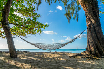 Hammock under trees in Beau Vallon sand beach, tropical landscape in Mahé island, Seychelles
