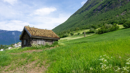 Fototapeta na wymiar The Beautiful green nature of Norway in Olden. 