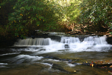 waterfall in the forest