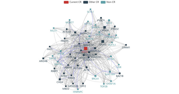Protein-protein interaction map. Visualization of scientific proteomics data. Illustration of experimental data.