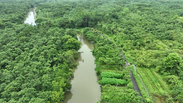 Aerial view of largest guava garden in Swarupkathi, Pirojpur, Barisal, Bangladesh.