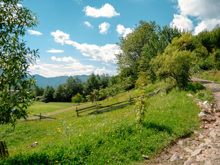 Fototapeta na wymiar Village in Zakarpattya region with old authentic wooden houses Carpathian mountains view Ukraine, Europe. Scenic landscape green spruce trees sunny day Eco Local countryside tourism hiking Cottagecore