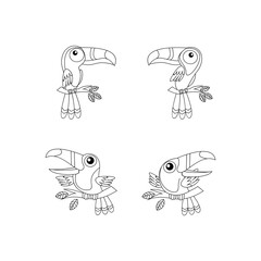 toucan bird drawing line cute black white illustration set collection