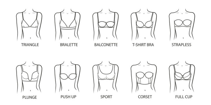 Collection of bras on a woman body. Female underwear types. Illustration on transparent background