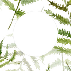 Watercolor round frame with fern on white background, forest green plant, fern branch, frond, print botanical illustration for print cards, wedding