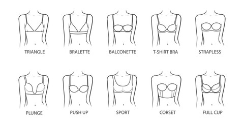 Collection of bras on a woman body. Female underwear types. Vector illustration on white background