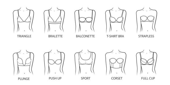 Collection of bras on a woman body. Female underwear types. Vector illustration on white background