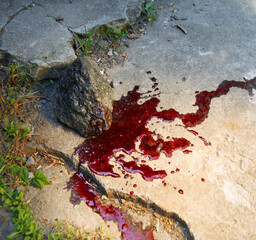 Bloodied stone lies on the ground