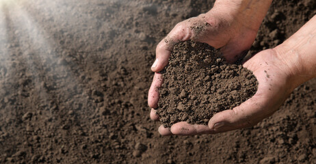 Man's hands holding a handful of earth