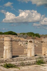 Fototapeta na wymiar Parco Archeologico di Selinunte - Castelvetrano - Trapani - Sicilia - Italia