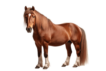 Brown Horse Isolated on a Transparent Background PNG. Generative Ai