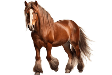 Majestic Brown Horse Isolated on a Transparent Background PNG. Generative Ai