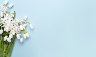 A snowdrop flowers bouquet on a pastel blue background with empty copyspace. Mother's Day concept. Created by generative AI