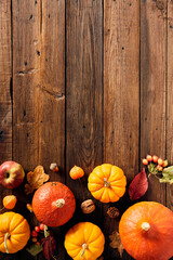 Thanksgiving vertical banner with pumpkins, sea buckthorn branches, apple, berries, walnuts on wooden desk. Flat lay, top view, copy space.