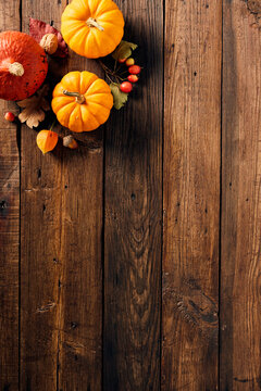 Harvest or Thanksgiving background with pumpkins, fallen leaves, berries on rustic wooden table
