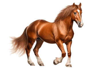 Obraz na płótnie Canvas Horse's Charm Isolated on a Transparent PNG Background. Generative Ai