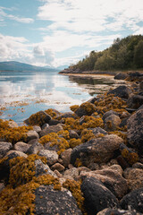 rocky coast of the sea