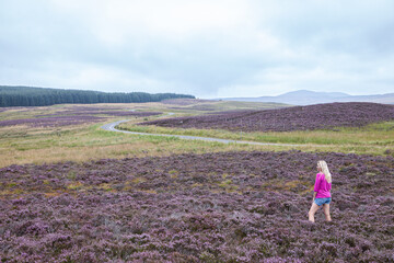 Blonde woman walking in Scotland, in a field of heather - calluna in full bloom. Cloudy sky, freedom, visiting, travelling, solo traveller, female travelling alone. 
