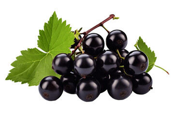 Blackcurrants Isolated on a Transparent PNG Background. Generative Ai