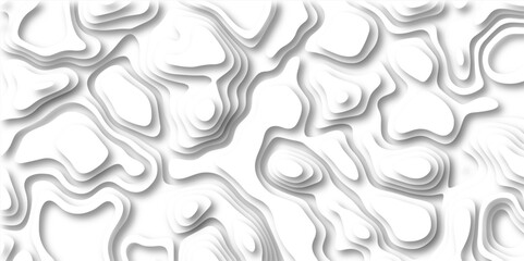Abstract wavy line 3d paper cut white background. Topographic canyon geometric map relief texture with curved layers and shadow. paper cut 3d render topography abstract ,beautiful white color.