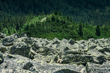 Fototapeta na wymiar Rocky mountains Gorgany, Ukrainian Carpathian, stones in the Alps