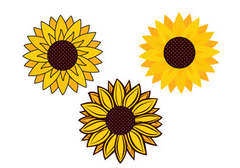 Vector sunflower set collection icon vector isolated