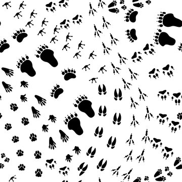 Seamless pattern animal trail. Texture with wild animals footprints, repeating paw trace, following pet track. Bear step, fox print foot. Vector illustration