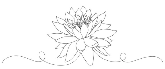 Lotus flower line art style