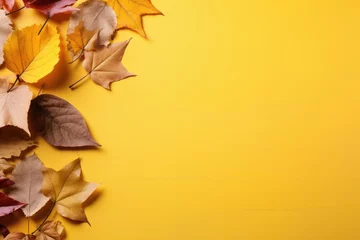  Autumn leaves on a yellow table top view © Julia Jones