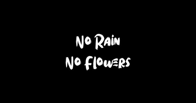 No Rain No Flowers. Grunge Transition Bold Text Typography Animation on Black Background 