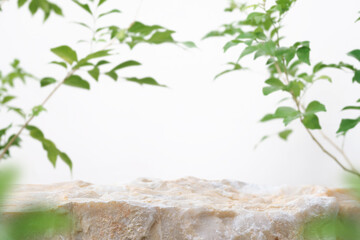 Stone podium tabletop floor  blurred green leaf on white wall nature background.Beauty cosmetic natural product placement pedestal display,jungle summer concept.