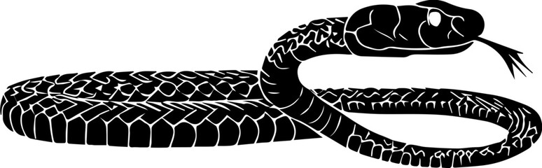 Coachwhip Snake icon 1