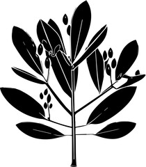 Buxaceae plant icon 2