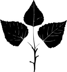 Betulaceae plant icon 2
