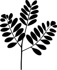 Berberidopsidaceae plant icon 3