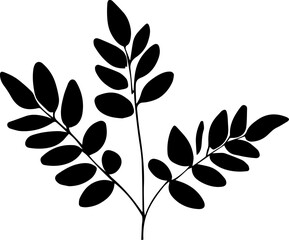 Berberidopsidaceae plant icon 2