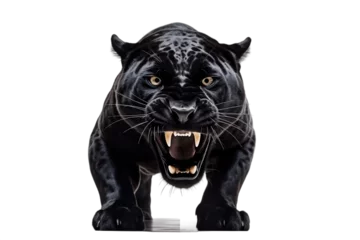Keuken spatwand met foto Beautiful panther Isolated on a Transparent PNG Background. Generative Ai © Haider