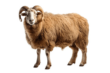 Beautiful sheep Isolated on a Transparent PNG Background, Render. Generative Ai