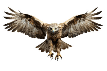 Flying Eagle Isolated on a Transparent PNG Background, Render. Generative Ai