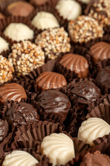 Truffle chocolate. Various chocolate pralines in bulk. close up