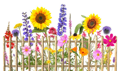 Colorful summer flowers with wooden fence, transparent background