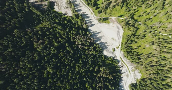 Aerial view of a forest with trees at Croda dei Baranci (Birkenkofel) mountain peak on the Dolomites range, San Candido (Innichen), Trentino, South Tyrol, Italy.