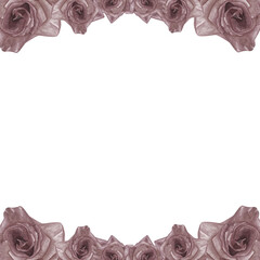 Frame of watercolor illustrations of roses hand drawn isolated on a transparent background